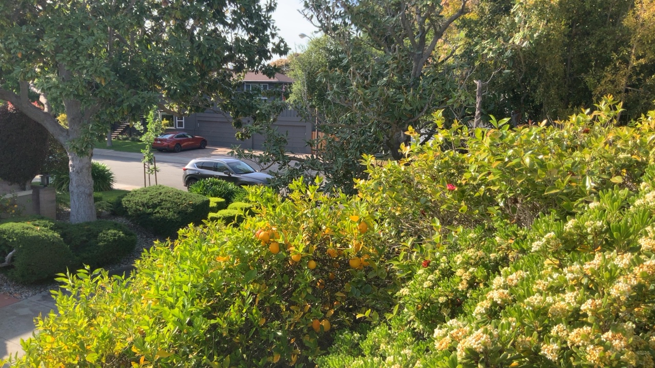 Residential Street View