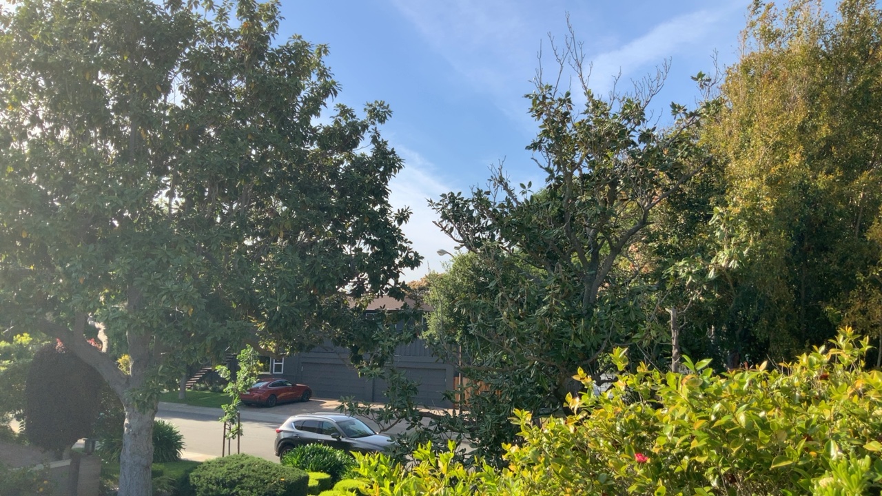 Suburban Street Scene