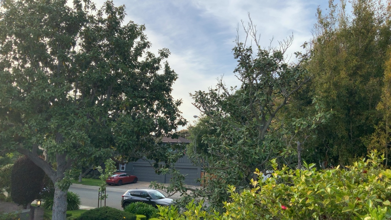 Neighborhood Street View