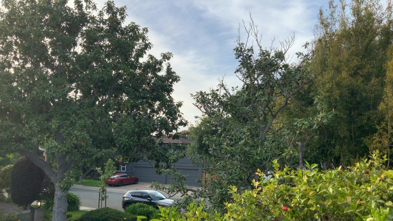 Neighborhood Street View