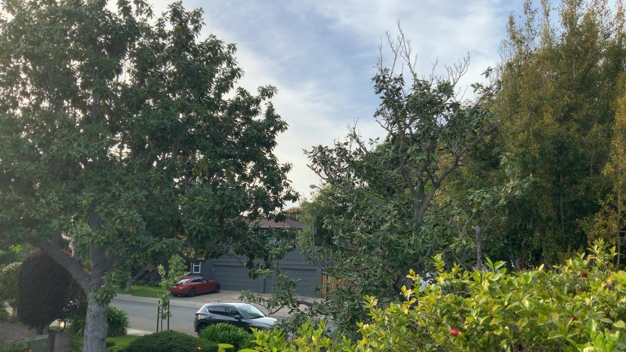 Neighborhood Street View