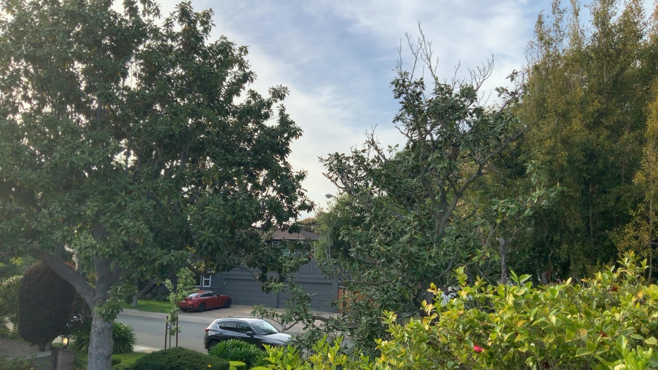 Neighborhood Street View