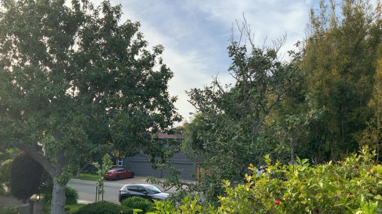Neighborhood Street View