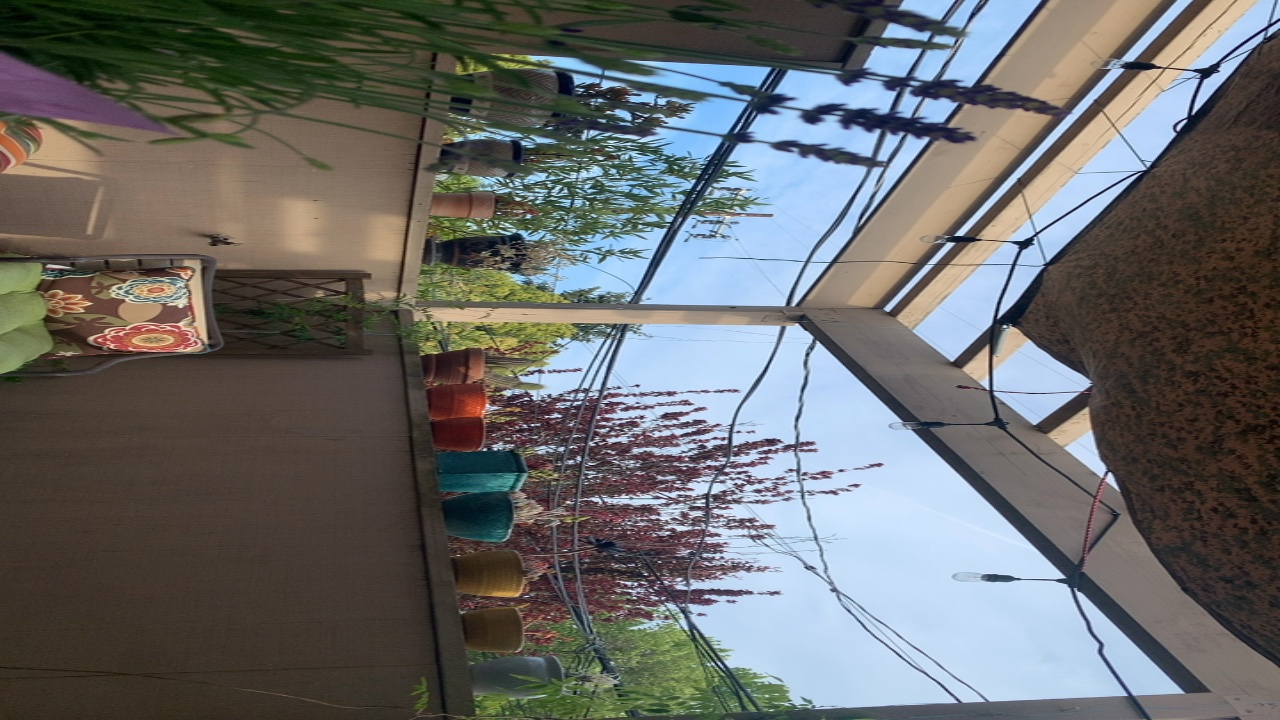 Patio Garden View