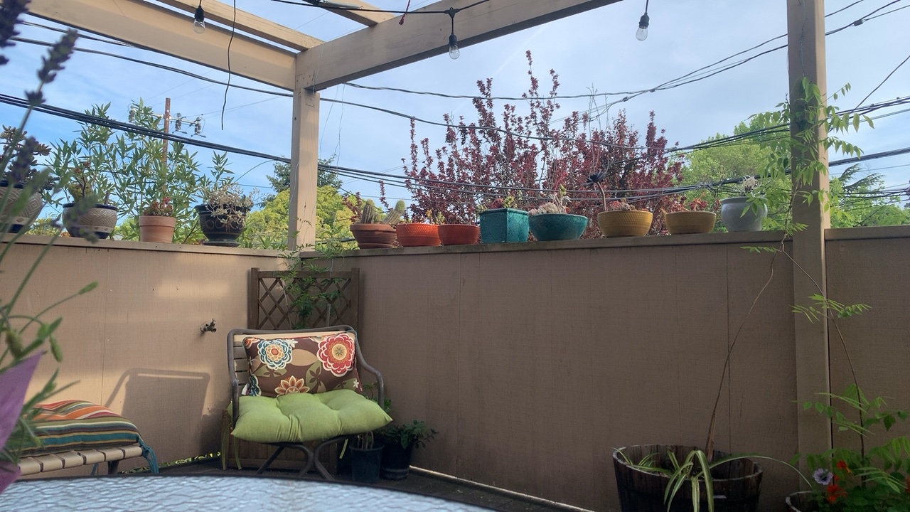 Patio Garden View