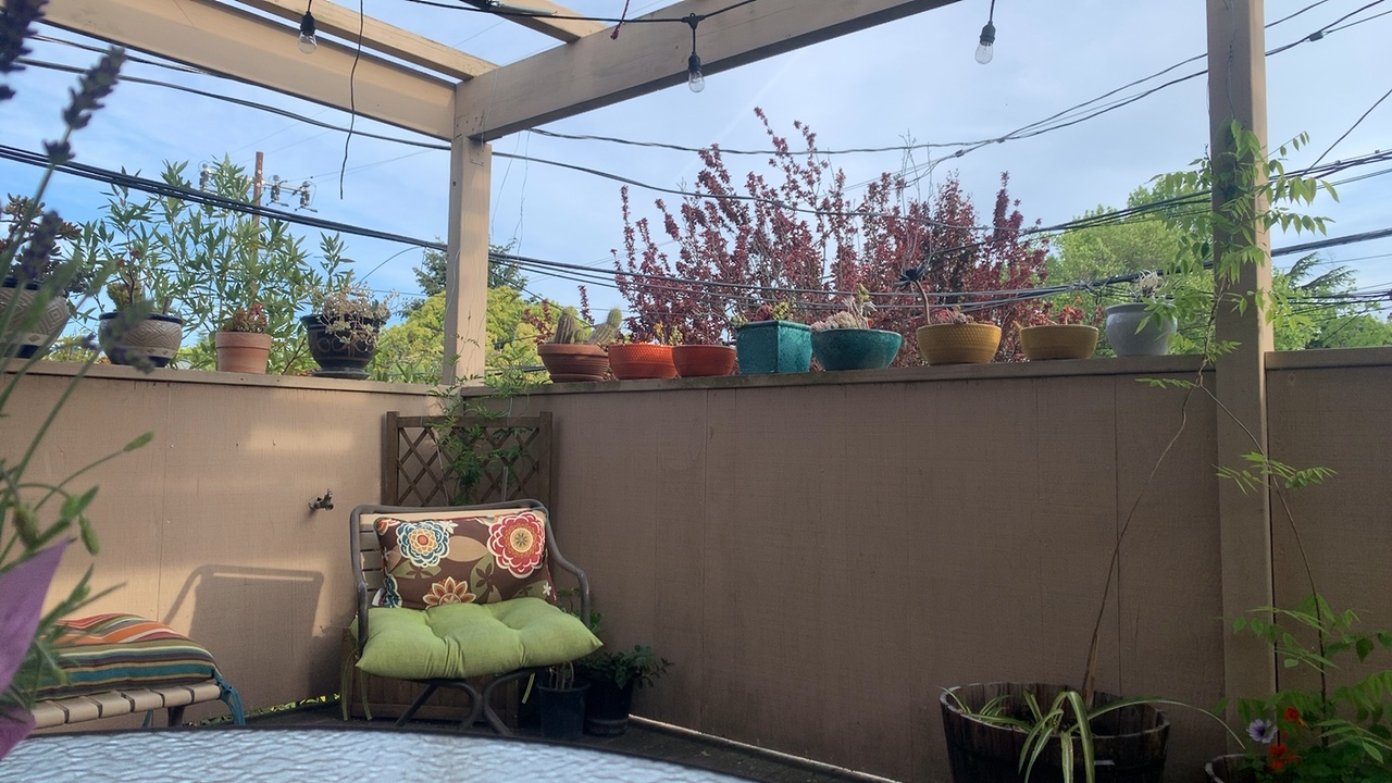 Cozy Patio Garden