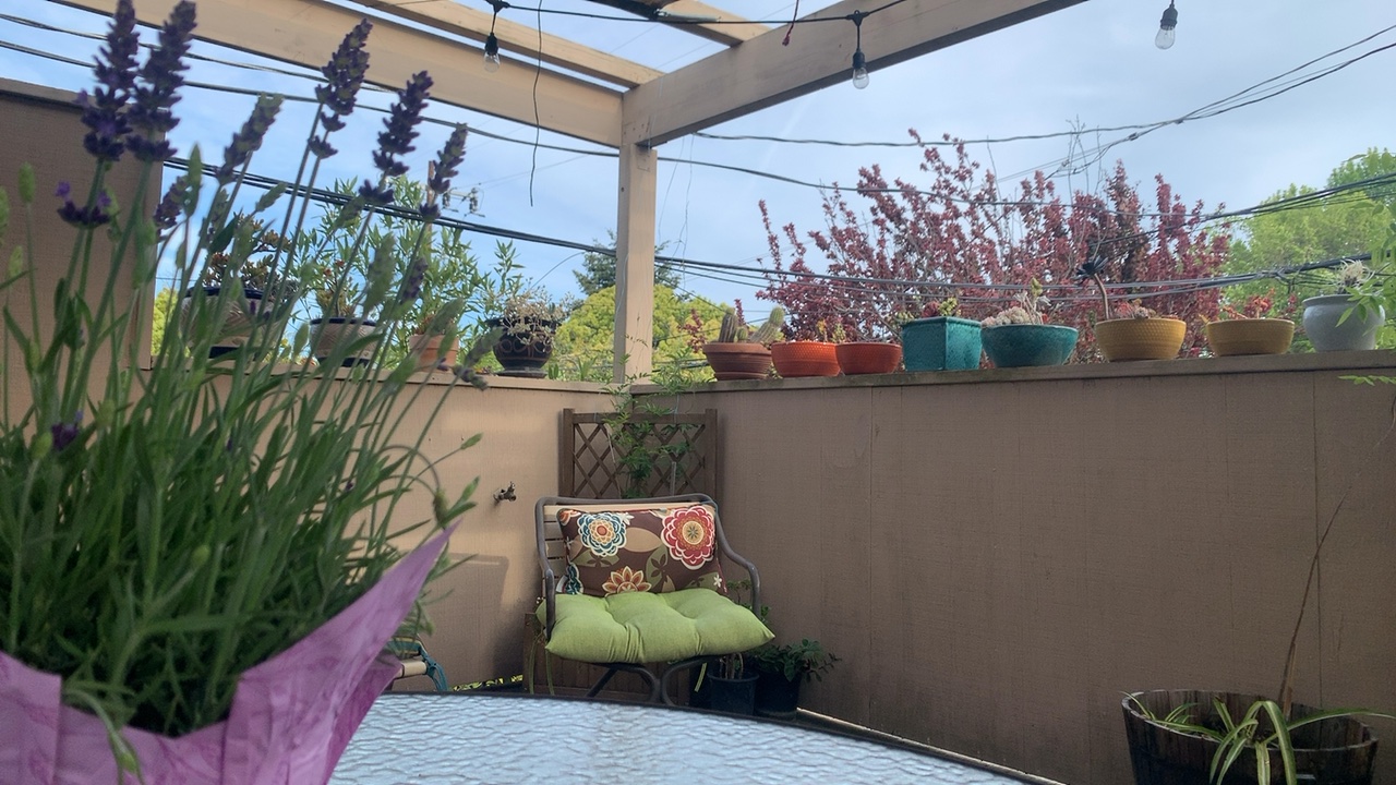 Backyard Garden Oasis