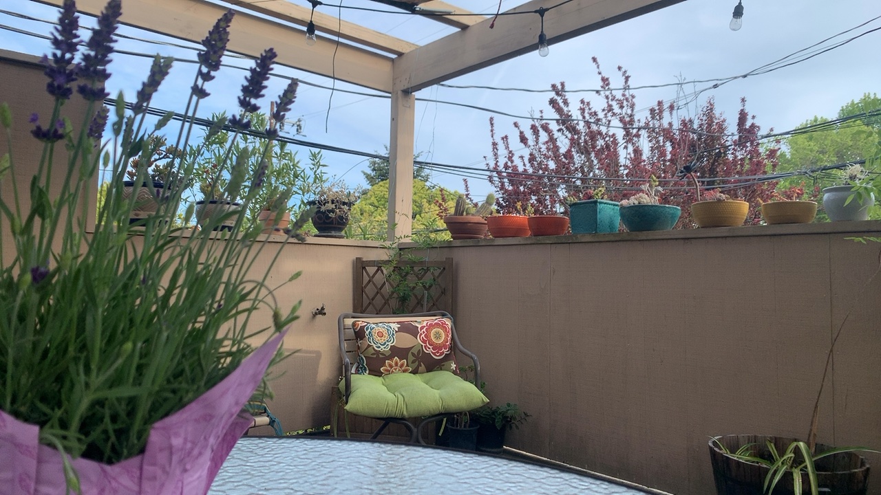 Backyard Patio Garden