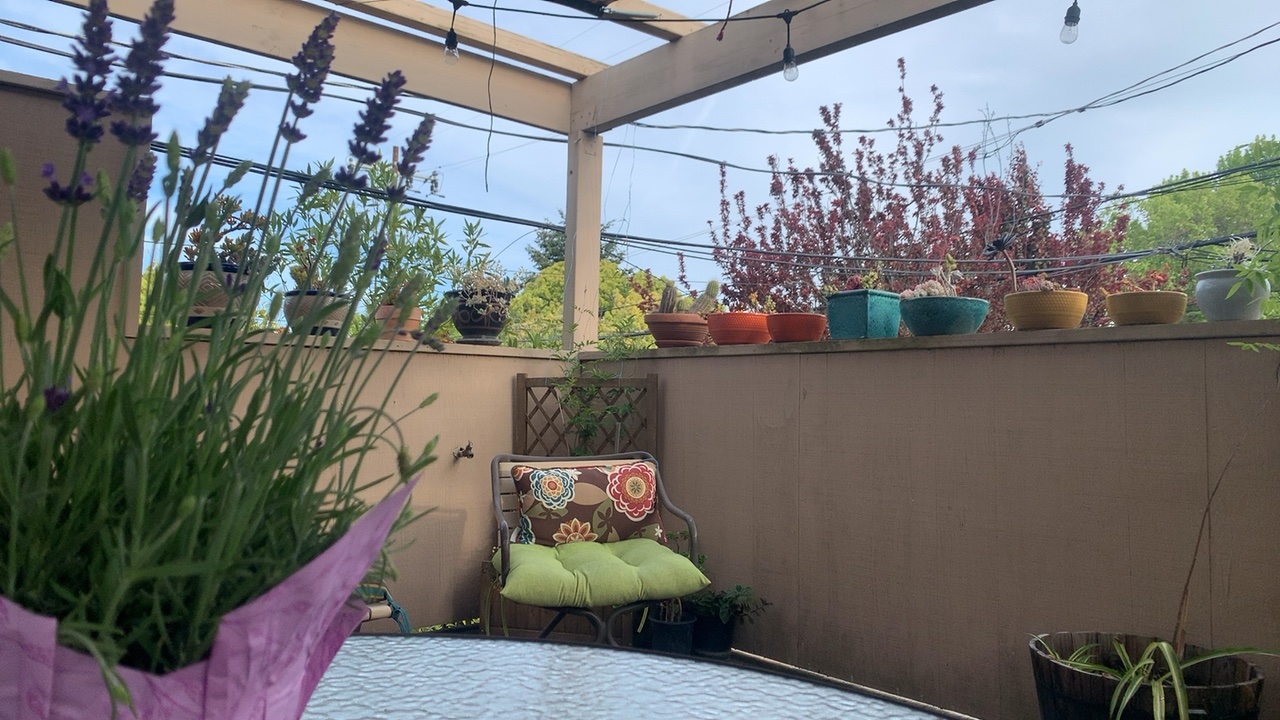 Rooftop Garden Retreat