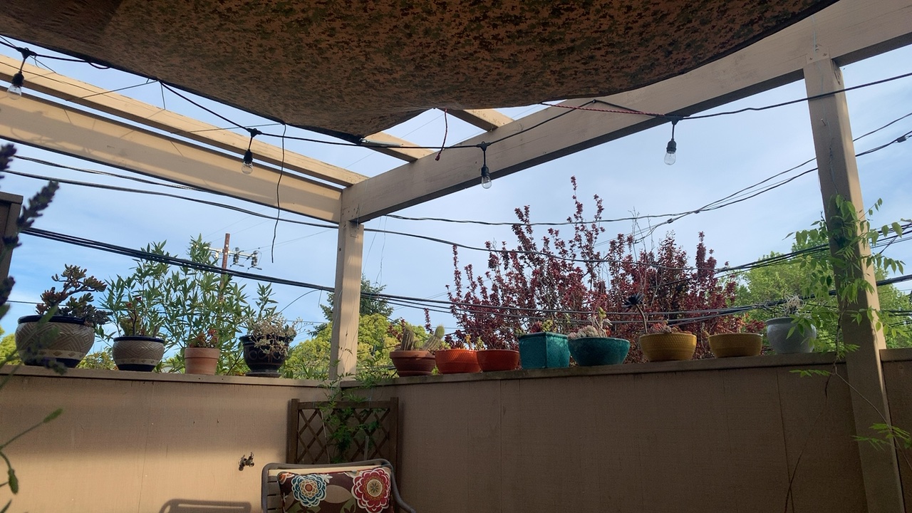Outdoor Patio with String Lights