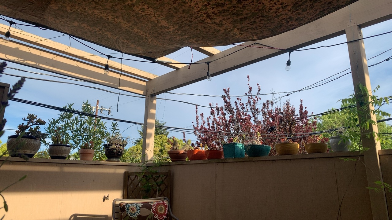 Patio with String Lights