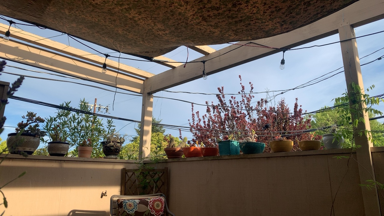 Patio View