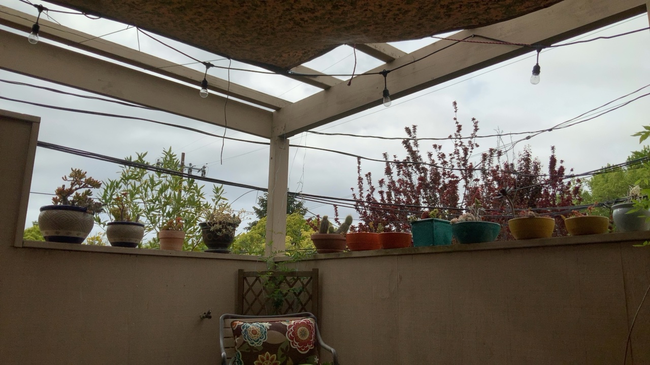 Cozy Patio View