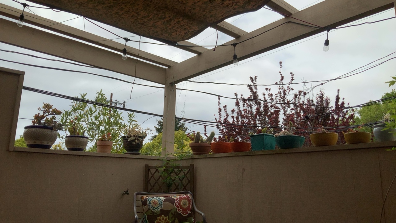 Outdoor Patio with Plants