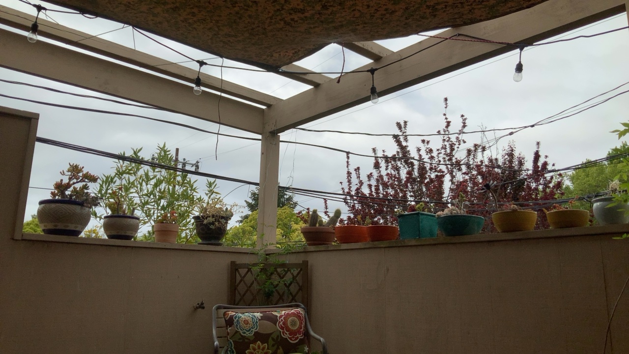 Covered Patio with Plants