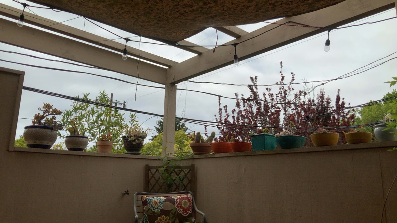 Patio View
