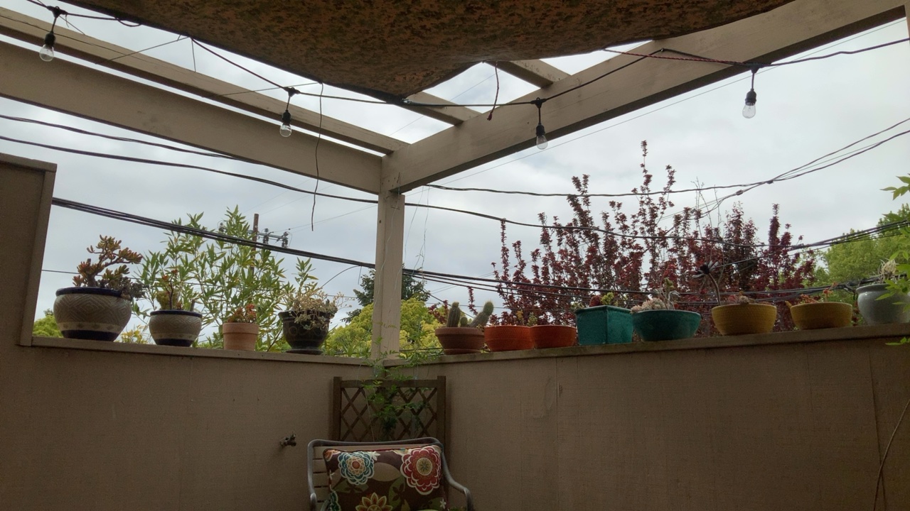 Covered Patio with Plants