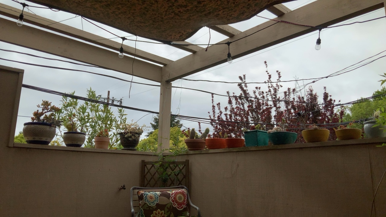 Cozy Patio Canopy