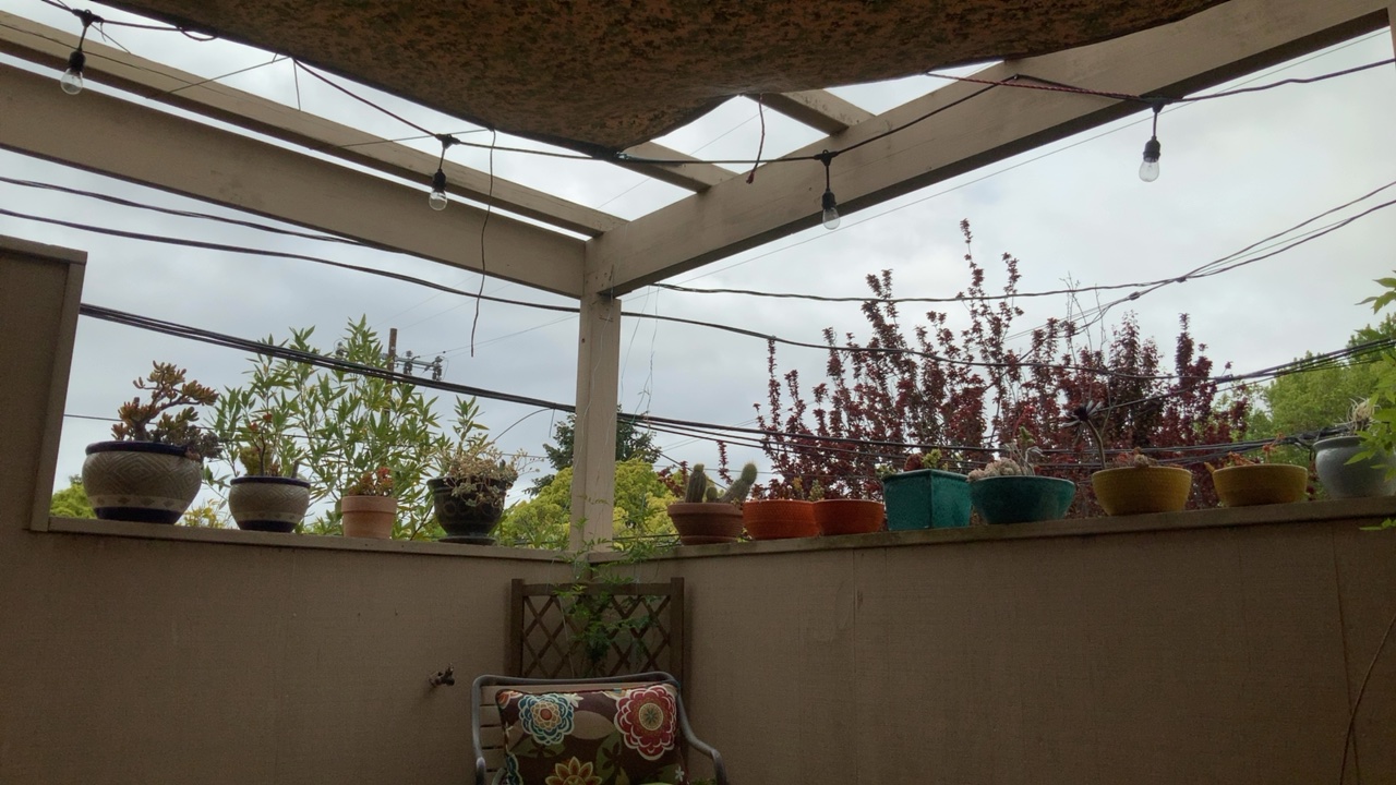 Cozy Patio View