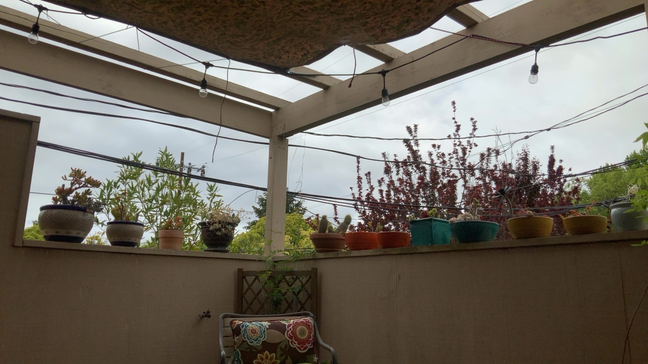 Cozy Patio with Plants