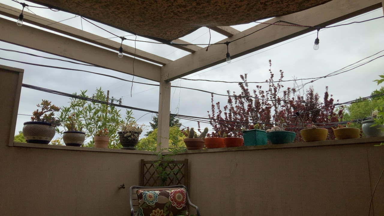 Covered Patio Garden