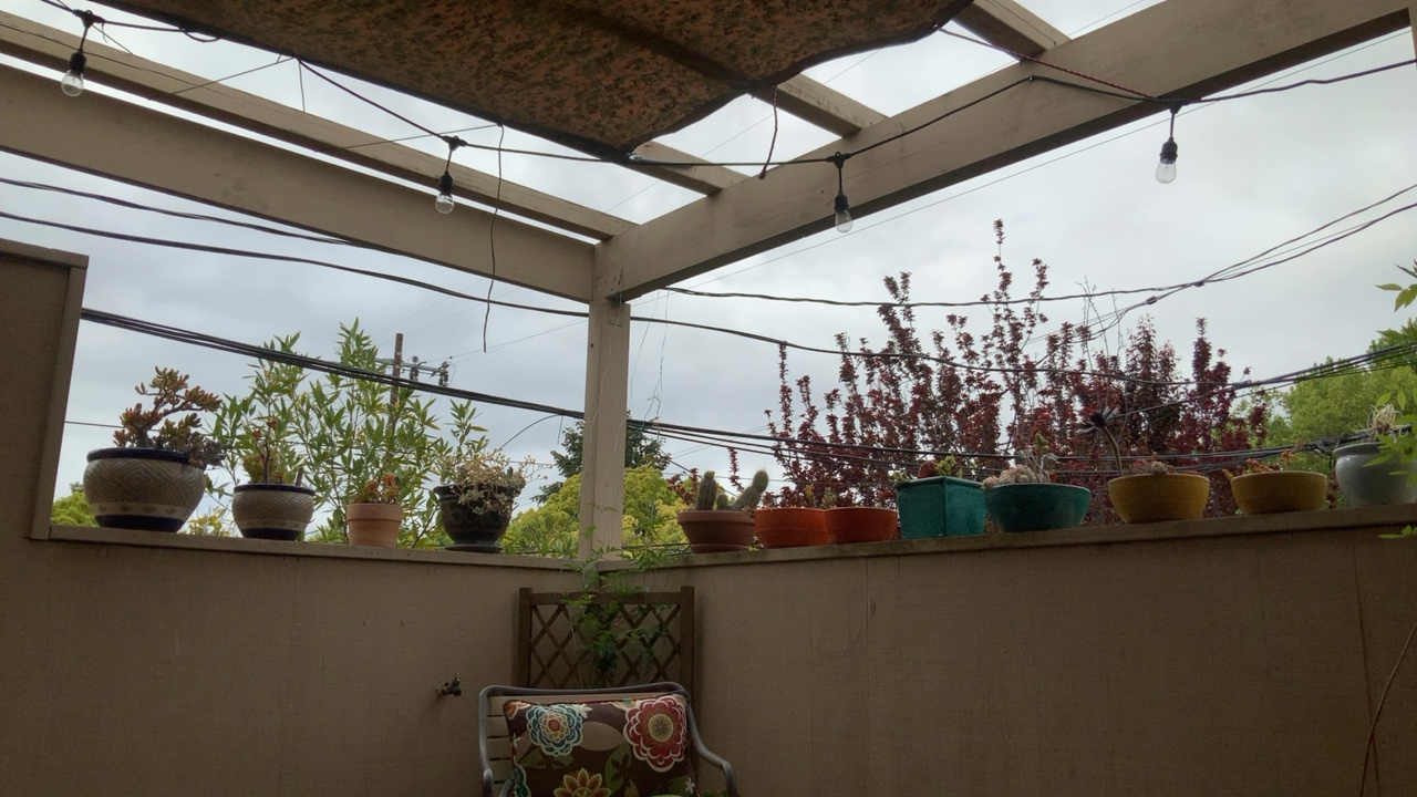 Cozy Patio View