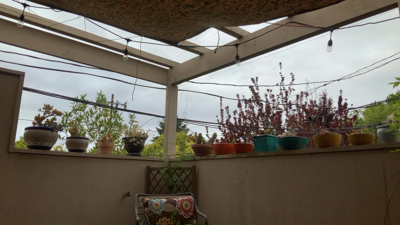 Patio with String Lights and Plants