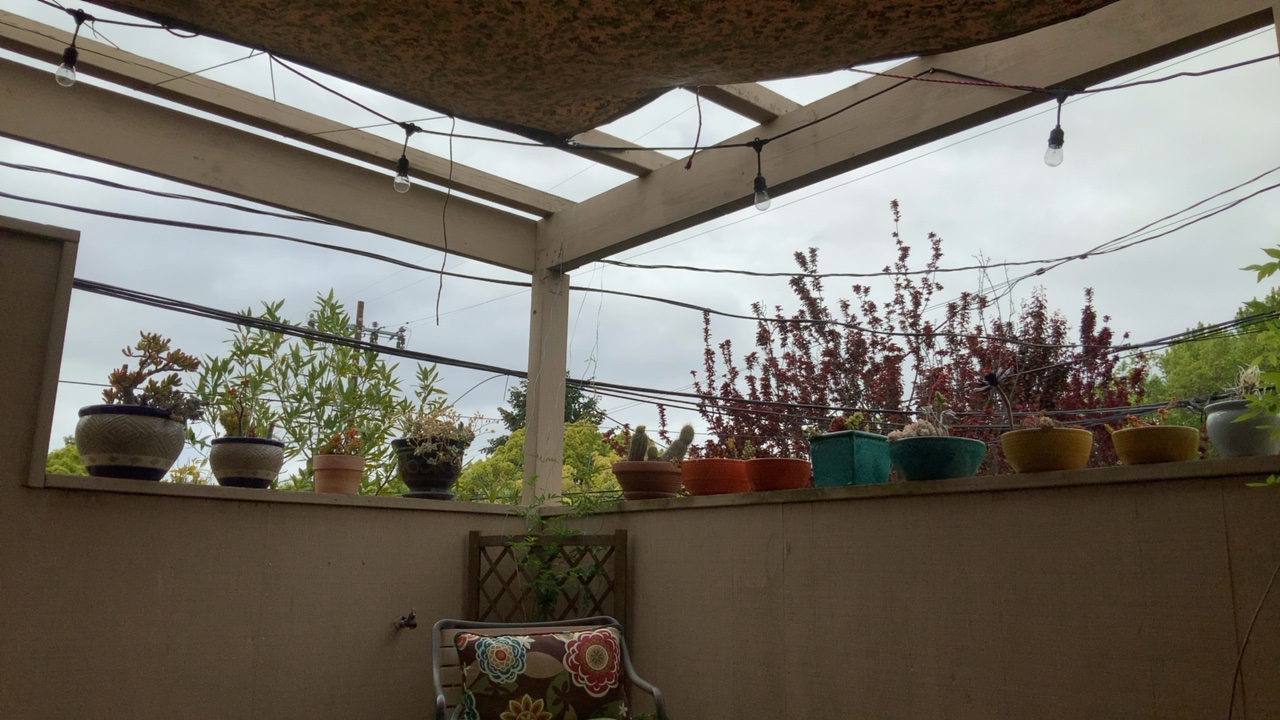 Covered Patio Garden