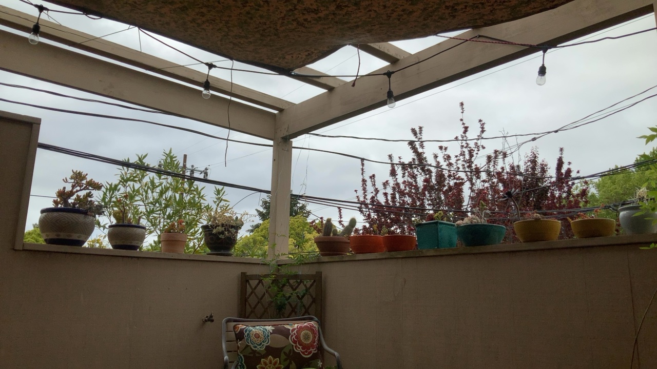 Cozy Patio View