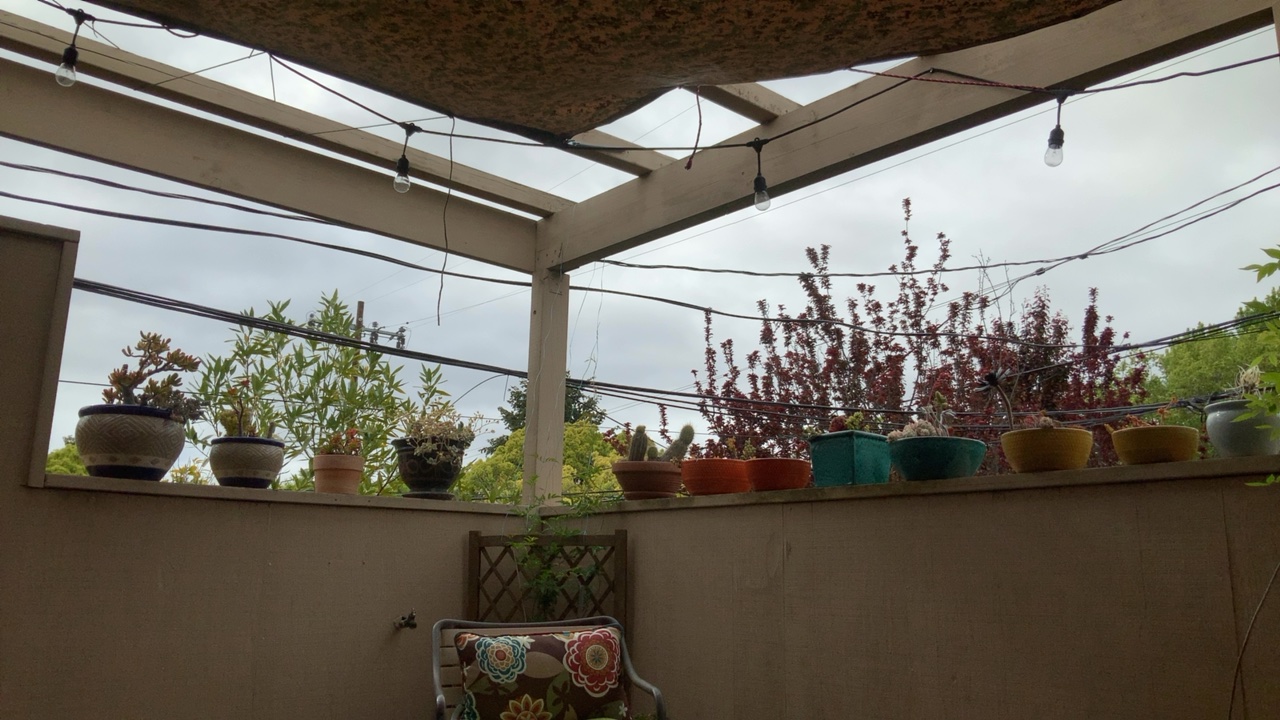 Patio with Potted Plants