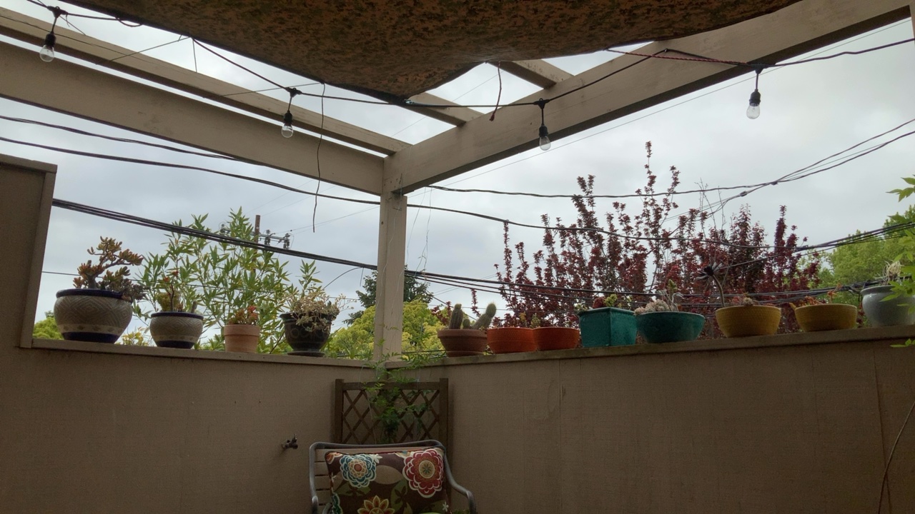 Covered Patio with Plants