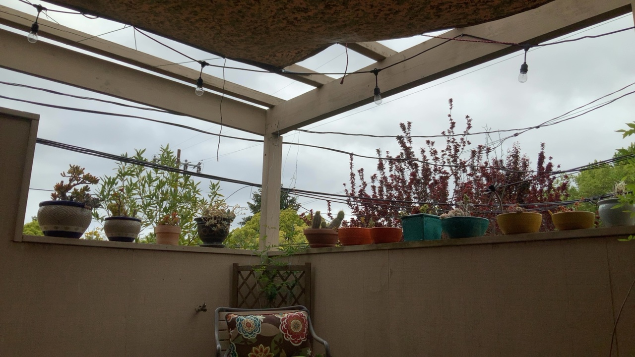 Cozy Patio View
