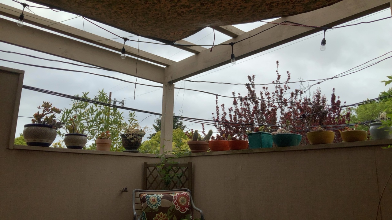 Overhead View of Patio with Plants