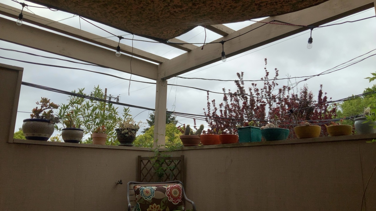 Cozy Patio View