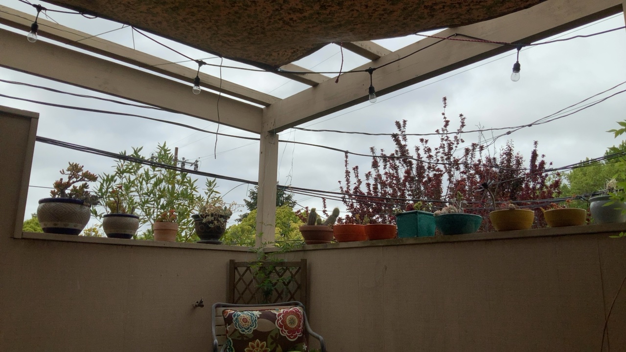 Patio with Potted Plants