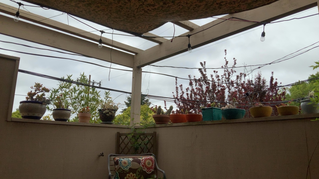Patio View