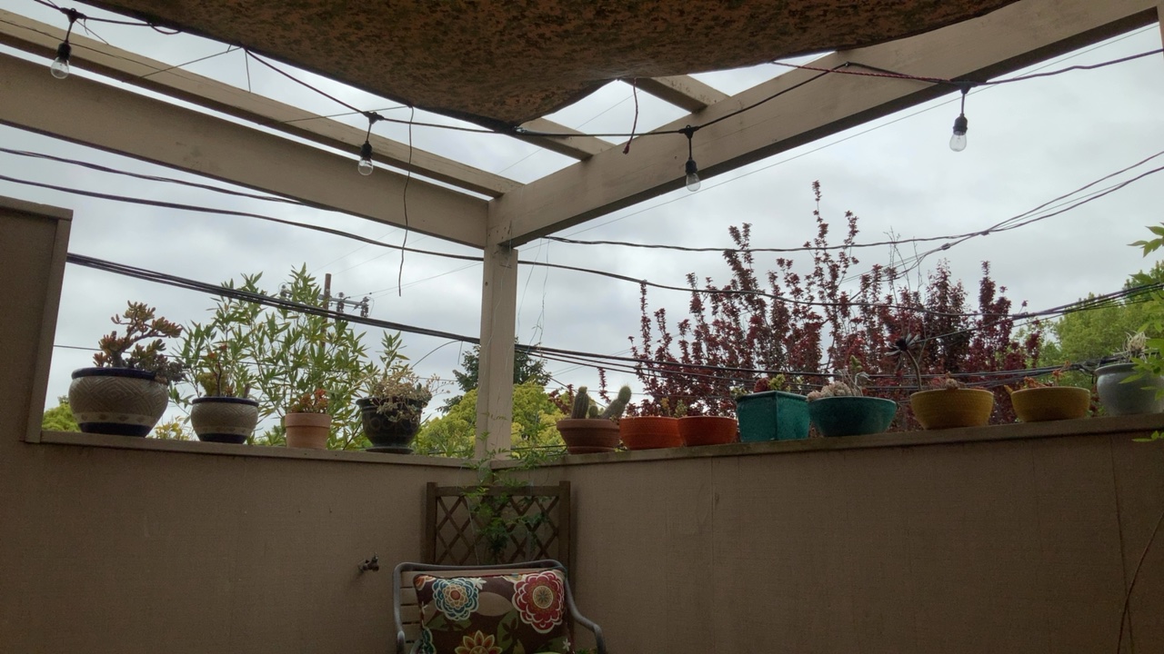 Covered Patio with Plants