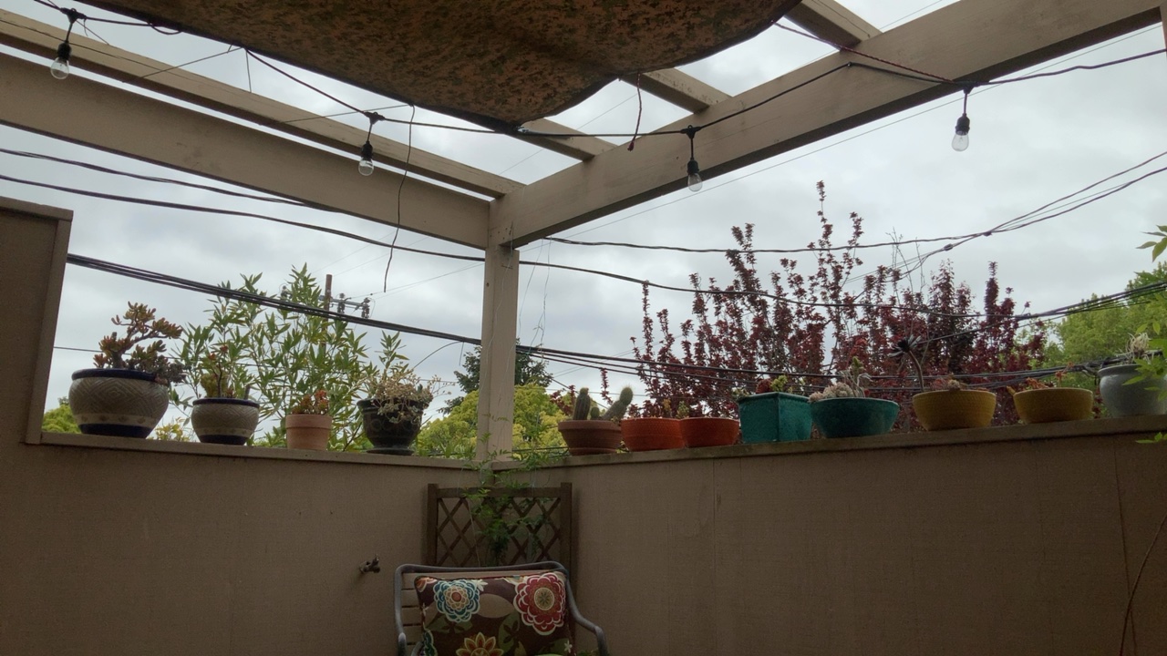 Patio with Plants and Pergola