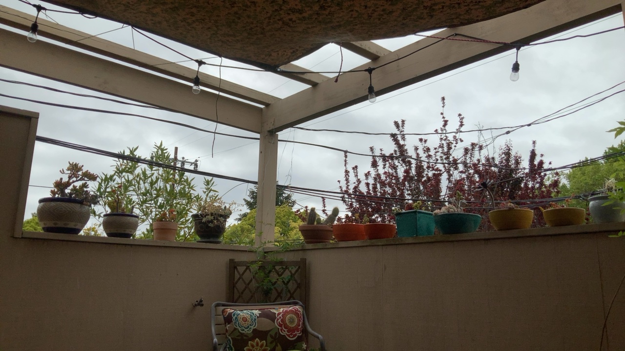 Cozy Patio View