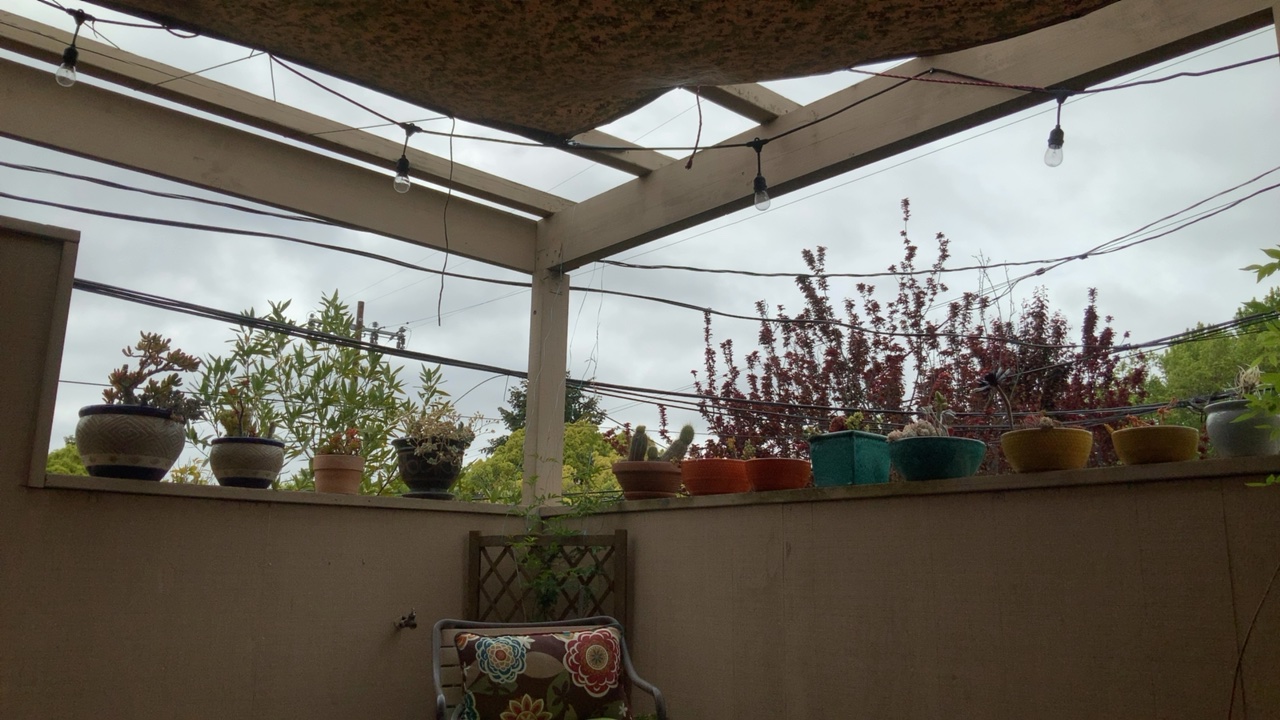 Cozy Patio with Plants