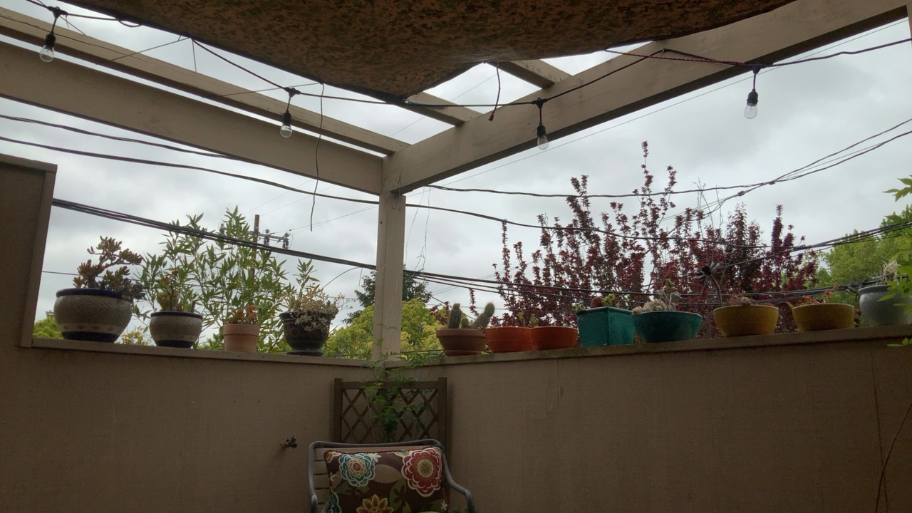 Patio with Potted Plants