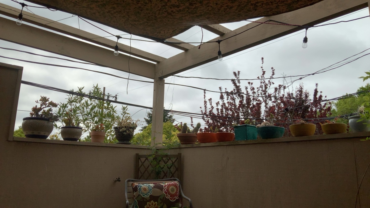 Outdoor Patio View