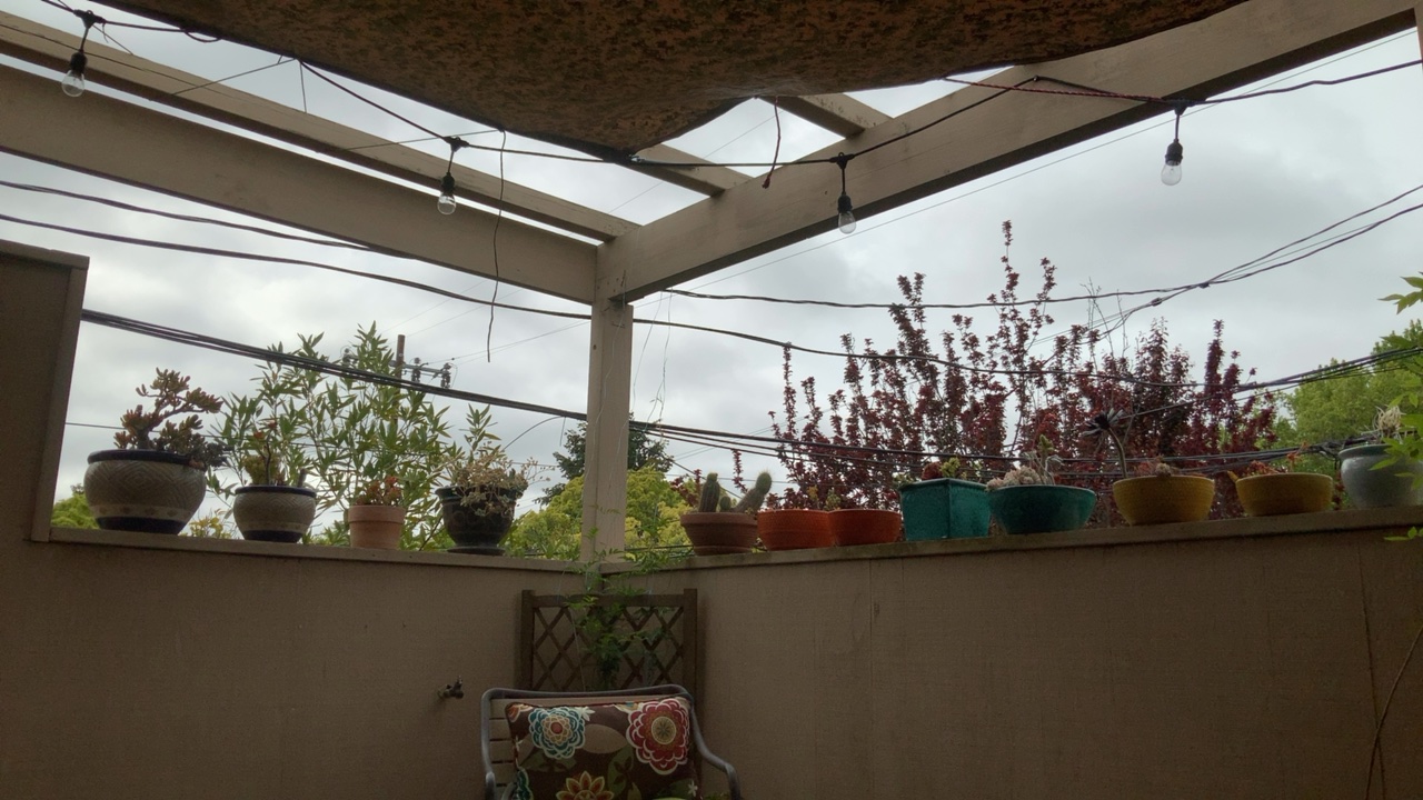 Patio View