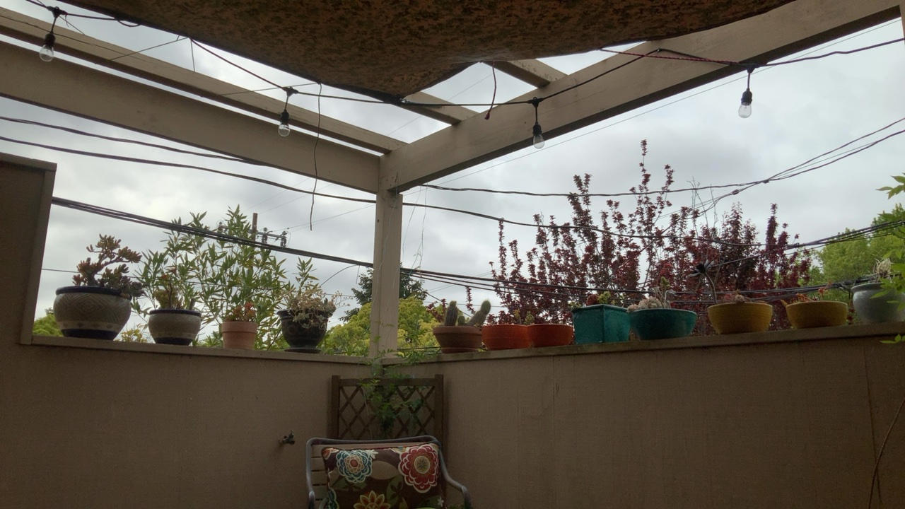 Patio with Potted Plants