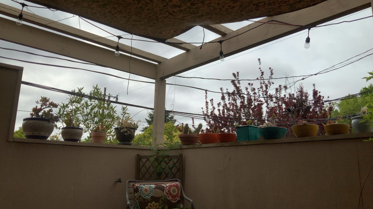 Cozy Patio View