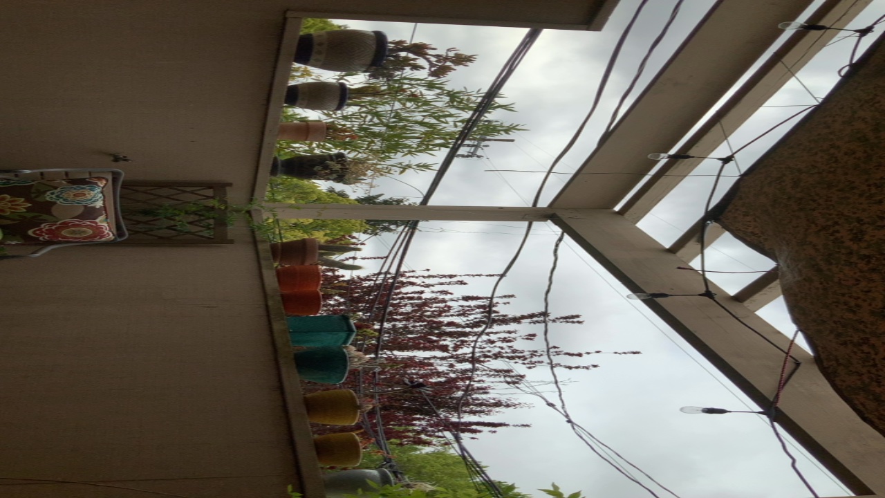 Balcony Garden View