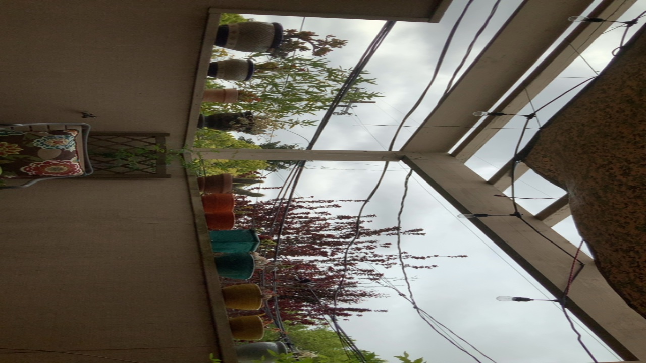 Balcony Garden View