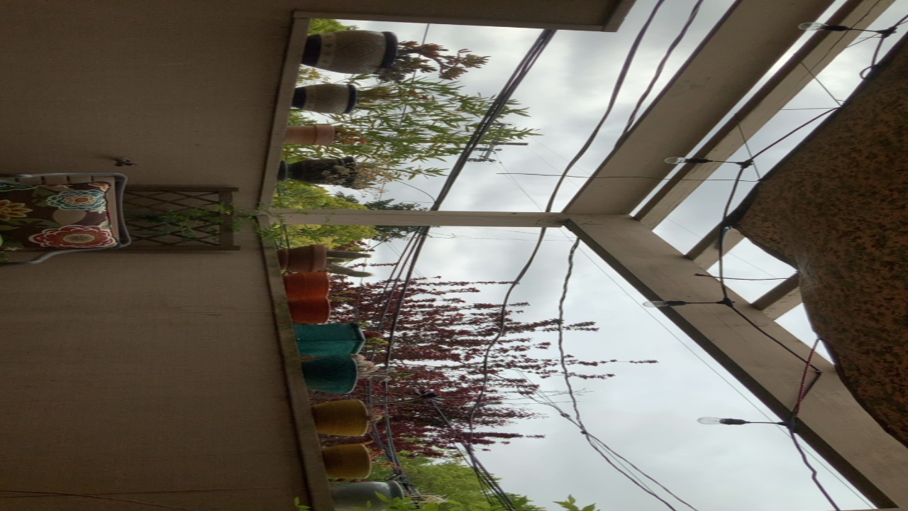 Balcony Garden View