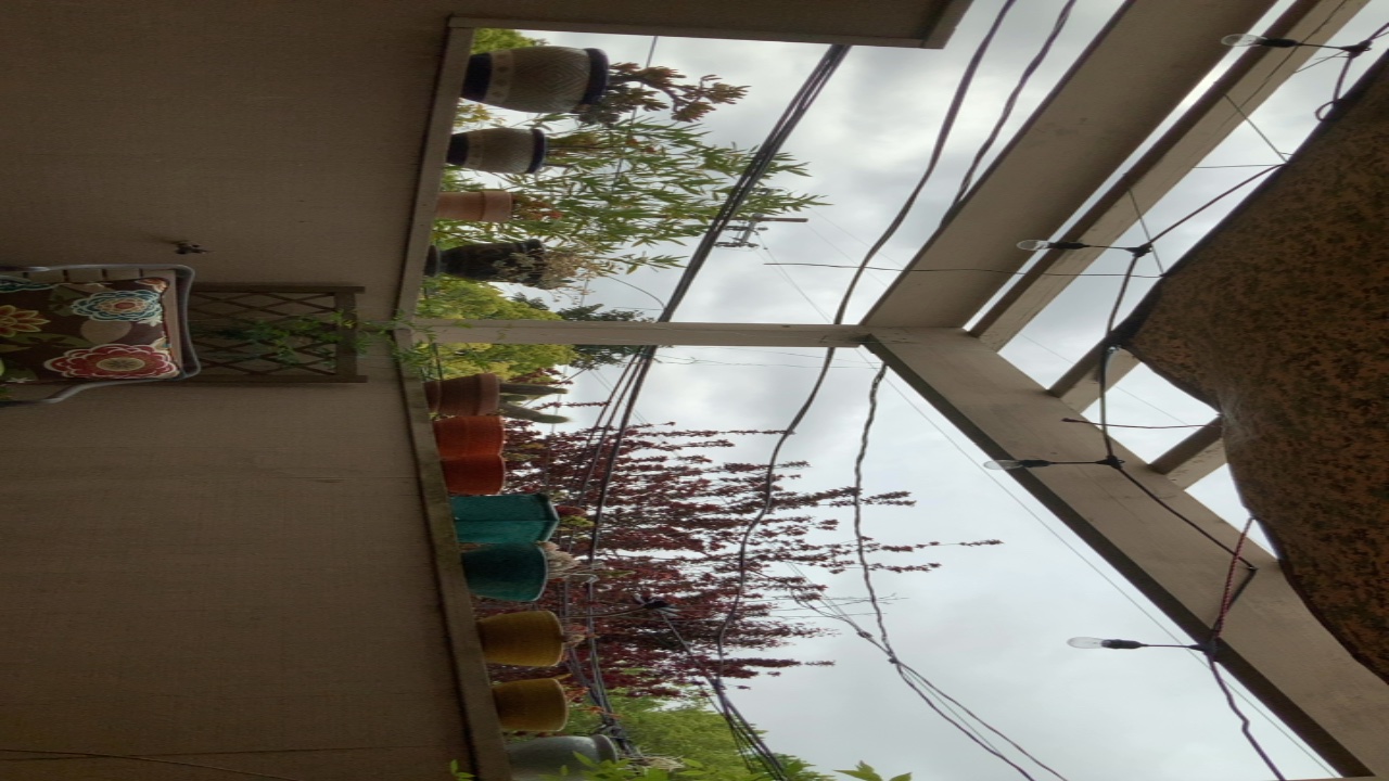 Cozy Balcony Garden