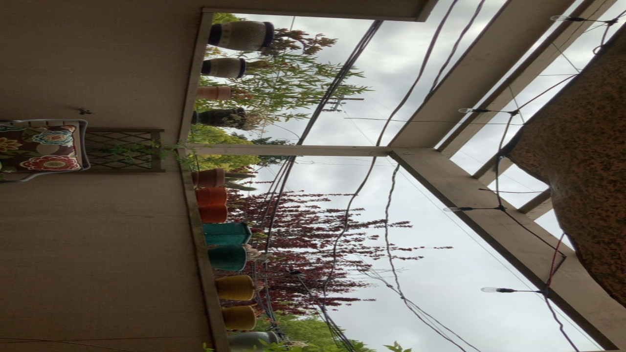 Balcony Garden View